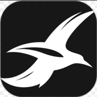 海鸥加速器 Logo